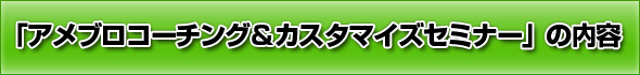 丸一日かけて行う「ブログ“プロ仕様化”カスタマイズセミナー」の内容 