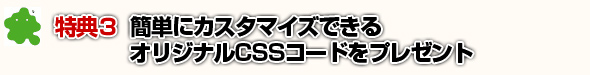 特典３：簡単にカスタマイズできるオリジナルCSSコードをプレゼント